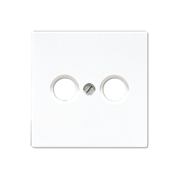 PLACA TV-FM LS990  BLANCO ALPINO JUNG ref: LS990TVWW