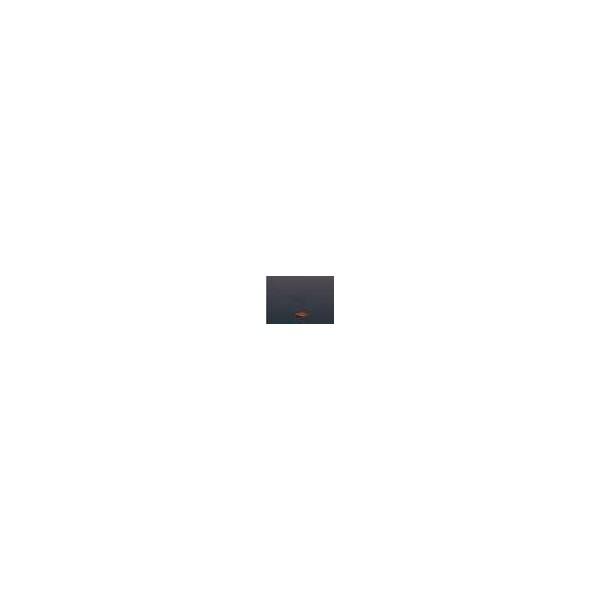 KEY CORAL SERIES INTERRUPTOR WITH LUMINOUS GRIS SOMBRA ref: 21705-GSL