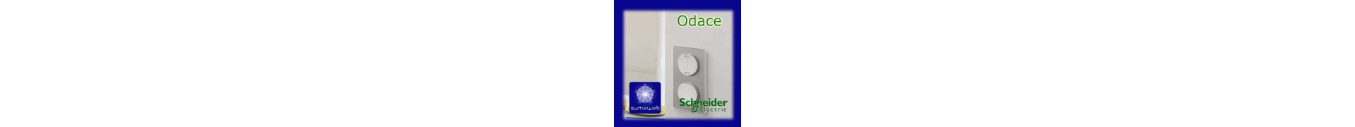 Odace