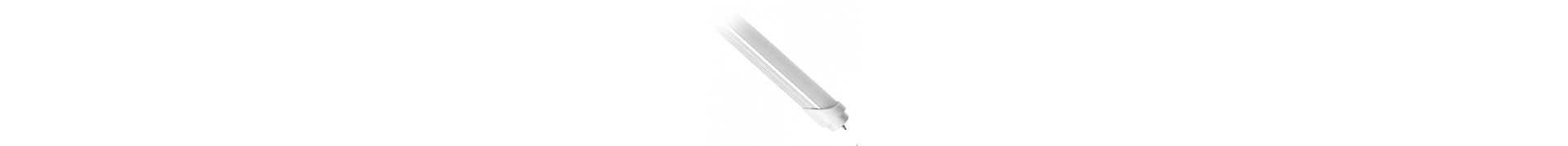 Lamparas y tubos de Leds