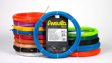 anguila