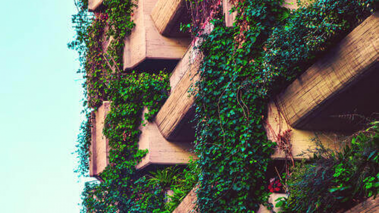 Cool and sustainable installation with ecologic green vertical garden covering a building in Madrid city, reducing the carbon emission and controlling the energy efficiency of the building.