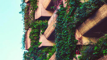 Cool and sustainable installation with ecologic green vertical garden covering a building in Madrid city, reducing the carbon emission and controlling the energy efficiency of the building.